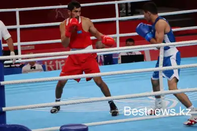 Боксерам Казахстана пообещали большие призовые за медали с Олимпиады-2024 