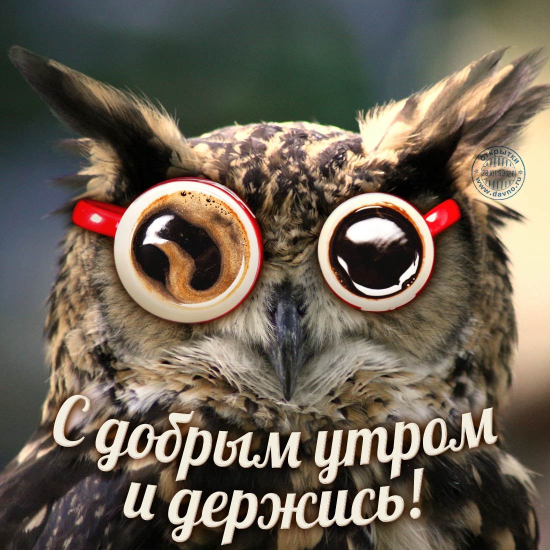Смешные картинки доброго утра и отличного дня