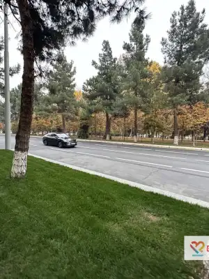 Ташкент показал всё свое 