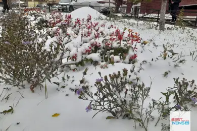 Первый снег в Нур-Султане - фото 