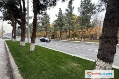 Ташкент показал всё свое "золото" 