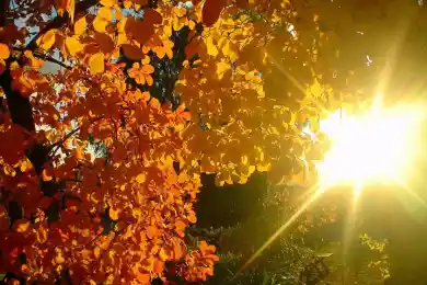 Погода по Казахстану на 18 сентября