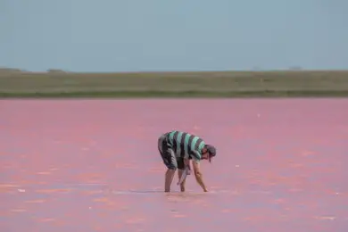 Минэкологии начало проверку проб воды и соли в озере Кобейтуз 