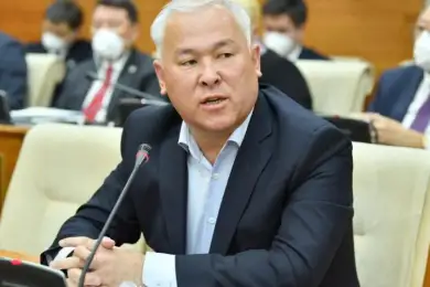 "Нужно ужесточить": мажилисменов Абенов считает возможным пересмотреть наказание для блогерши за оскорбление матерей 
