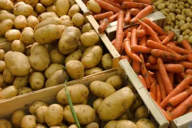 В Казахстане увеличат площади для посева картофеля и моркови 
