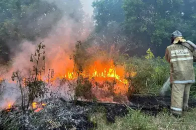 «Неправильно оценили»: глава МЧС Ильин объяснил, почему так сильно горят леса в области Абай 