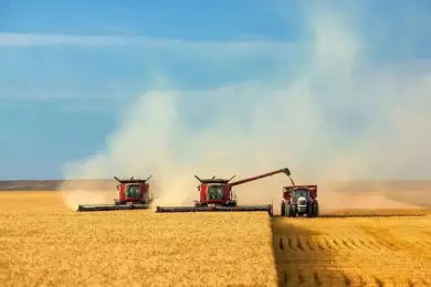 Зерновикам северных регионов Казахстана окажут помощь в уборке урожая 