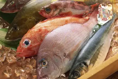 How much is the fish: казахстанцы недоедают рыбы, у Правительства есть решения 