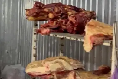 В Астане в грязном гараже перерабатывали мясо 