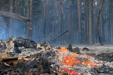 МЧС наращивает силы для борьбы с пожаром в Костанайской области – Ильин 