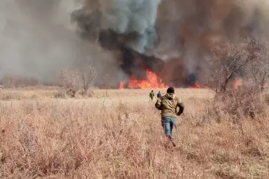 В Алматинской области горит трава, огонь перекинулся на земли фермеров – фото, видео 
