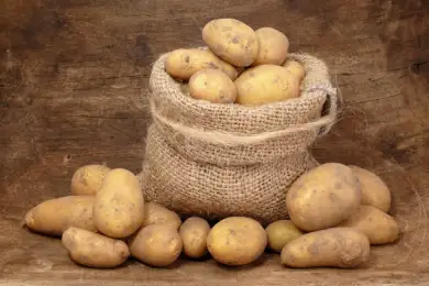 Казахстан импортирует картофель из южных стран – Карашукеев 