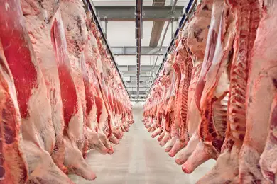 Казахстан побил рекорд по экспорту мяса 