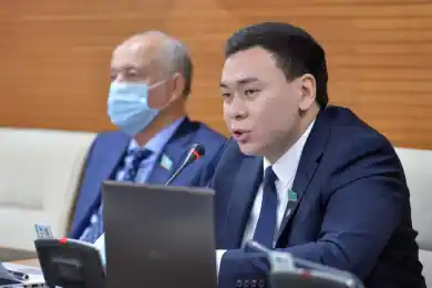 Мажилисмен Хамзин о мониторинговых группах: «Что за новоявленное «гестапо»»?