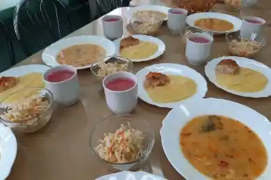 Массовое отравление школьников в ВКО, возбуждено уголовное дело