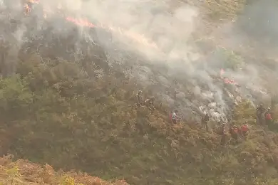 В пяти районах Костанайской области продолжает гореть лес - фото, видео 