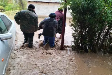 В Туркестанской области проливной дождь привел к подтоплениям – фото 