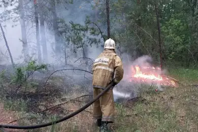Лесные пожары в области Абай: Премьер-министр поручил ускорить переброску сил 