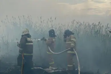 Пожар под Астаной не удается потушить, на помощь едут пожарные из двух областей  