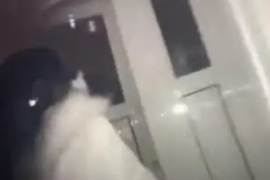 Астанчанин пытался сбросить девушку с 14-го этажа - видео 
