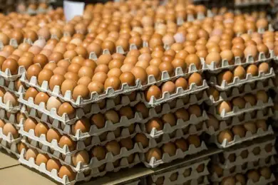 Казахстан может запретить импорт яиц с весны 