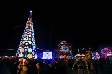 В Астане при большом столпотворении зажгли главную ёлку