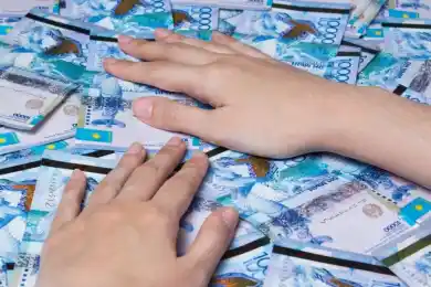 Жительнице Омска, похитившей у Минсельхоза Казахстана 500 млн тенге, вынесли приговор