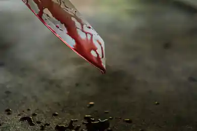 В Аксу зарезали женщину и двоих её детей