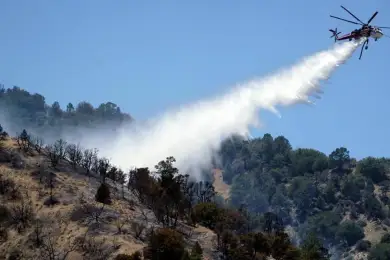 На дымящую гору Кокшетау сбросили 75 тонн воды - фото 
