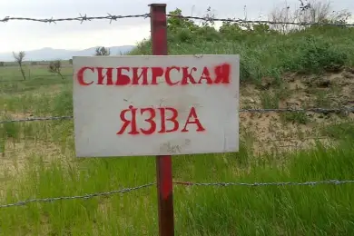 «В каждом регионе есть 3-4 захоронения с сибирской язвой» – министр Сапаров 
