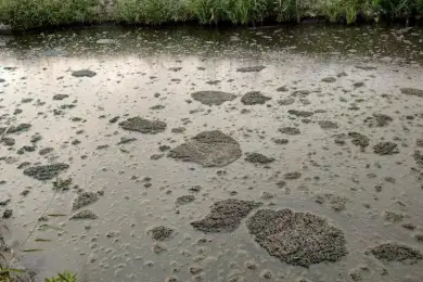Минэкологии: в Атырау сбрасывали сточную воду с большим количеством нефтепродуктов 