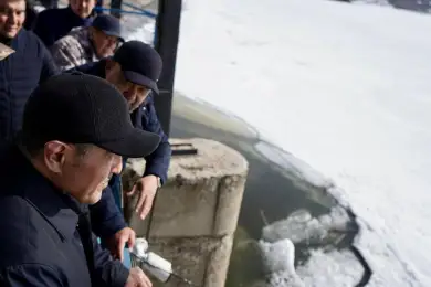 «Такого не было с 1980 года»: сколько воды сейчас в водохранилищах Казахстана 
