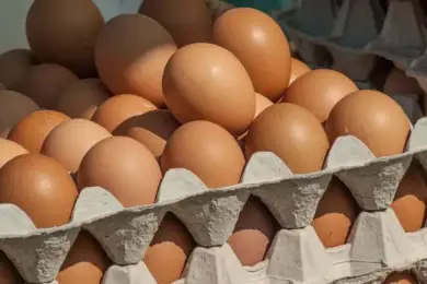 Россия попросила Казахстан увеличить поставки куриных яиц 