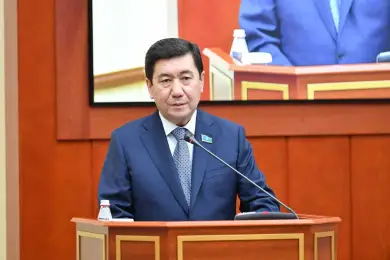 В случае утраты силы закона "О Первом Президенте Казахстана" Елбасы утратит неприкосновенность - Кошанов 