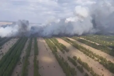 Пожар в резервате «Ертіс орманы» в Павлодарской области локализован 