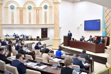 Депутаты Сената против возобновления рекламы пива в СМИ Казахстана 