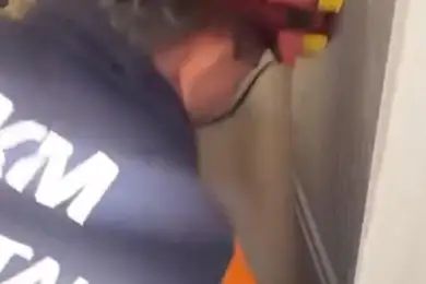 В Астане в квартиру влетела летучая мышь 