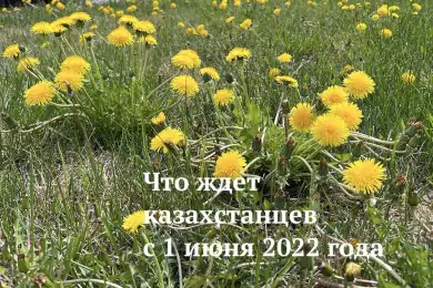 Прибавка к пенсиям, референдум, лето: что ждет казахстанцев с 1 июня 2022 года 