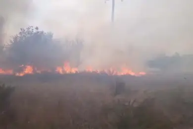 Жителей Карагандинской области призвали не паниковать из-за степных пожаров - видео 