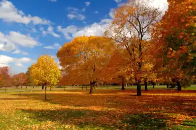 Заморозки, усиление ветра: погода по Казахстану на 23 сентября