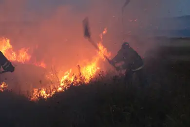 В Карагандинской области ликвидированы очаги природных пожаров ликвидированы 