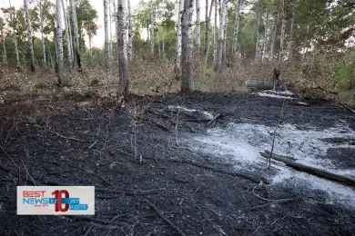 Генпрокуратура назвала подозреваемых по делу о лесных пожарах в области Абай 
