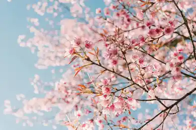 Ваш смартфон могут отключить – что изменится в Казахстане с 1 марта