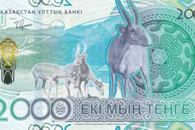 Нацбанк разместил на новых банкнотах тенге изображение отстреливаемых в Казахстане сайгаков 