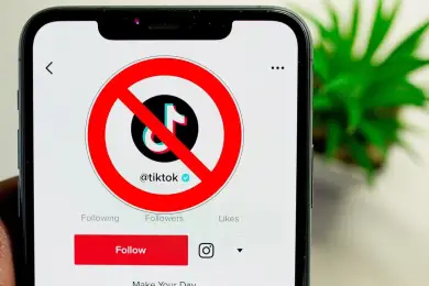 В Кыргызстане заблокируют TikTok, Минкультуры «не видит в этом никакой подоплёки» 