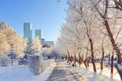 В Нур-Султане отменили уроки в дежурных классах для учащихся 0-4 классов