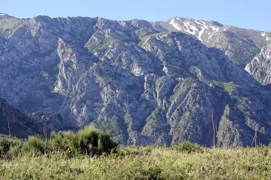 В горах Туркестанской области погиб подросток, ещё двоих ищут спасатели 