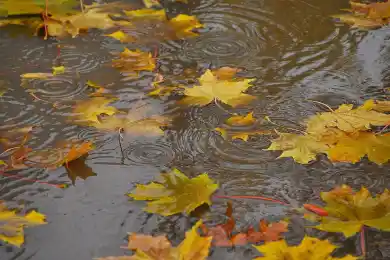 Дождь и мокрый снег: погода по Казахстану на 12-14 октября