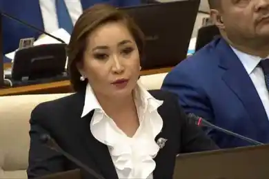 "Все равно опасения остаются": депутат Каракат Абден о принятом новом Налоговом кодексе 