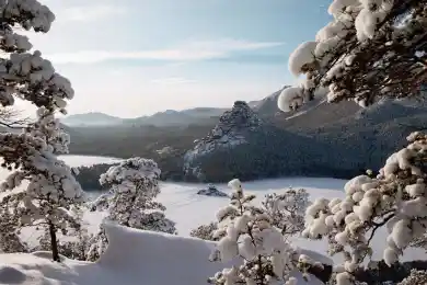 Как на Бурабае охраняют лес от незаконных вырубок